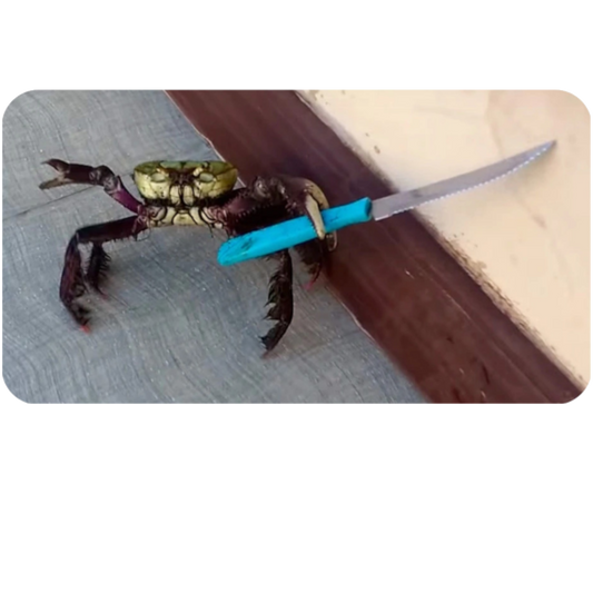 Knife Wielding Crab