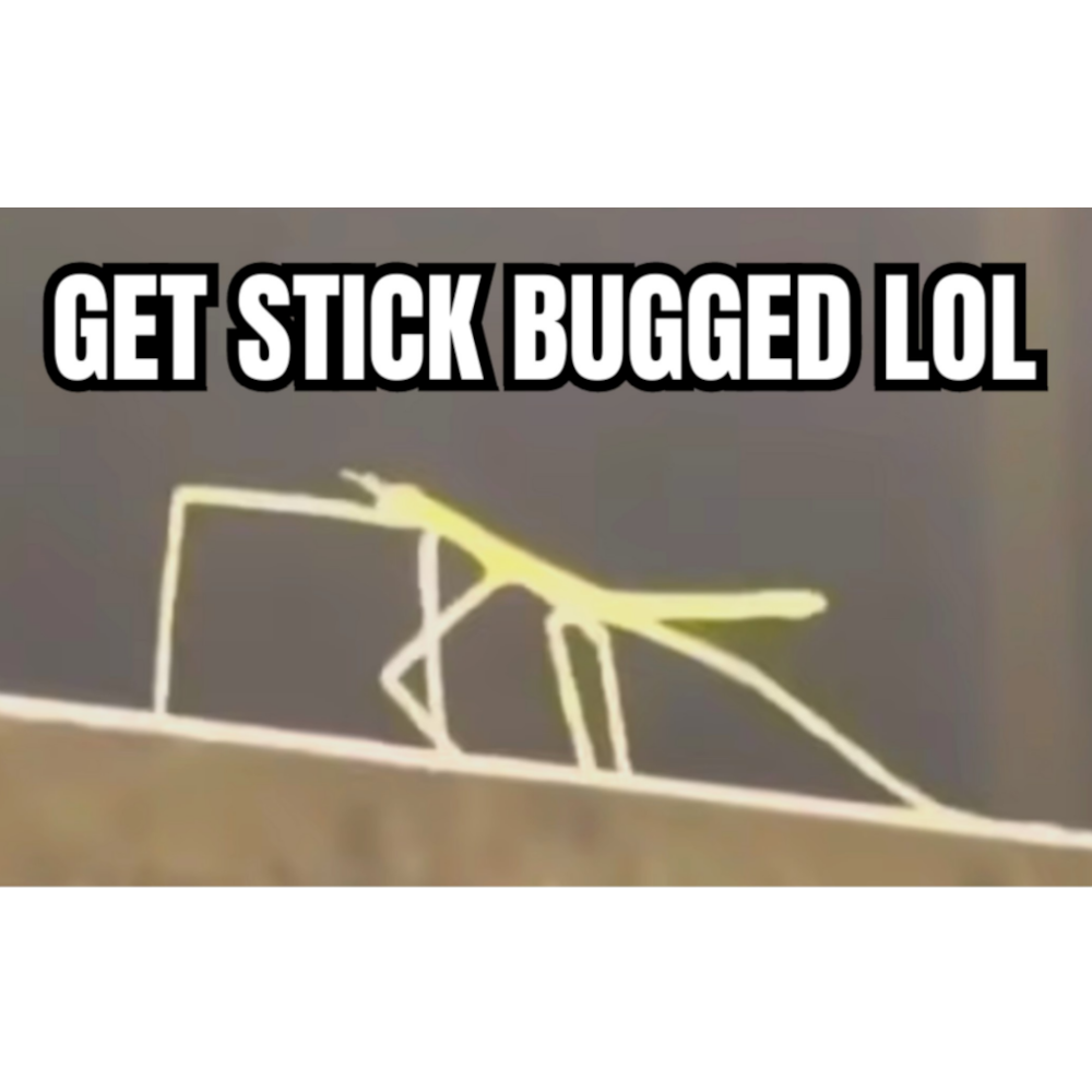 Stickbug Sticker